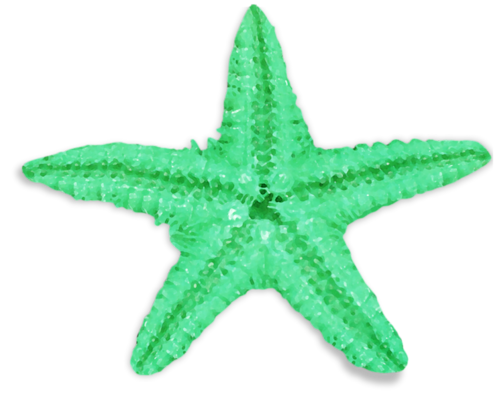 csillag_41.png