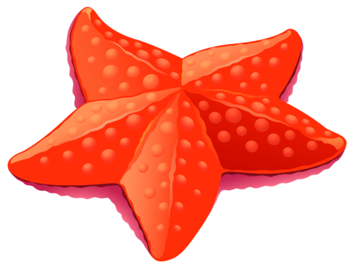 csillag_5.png