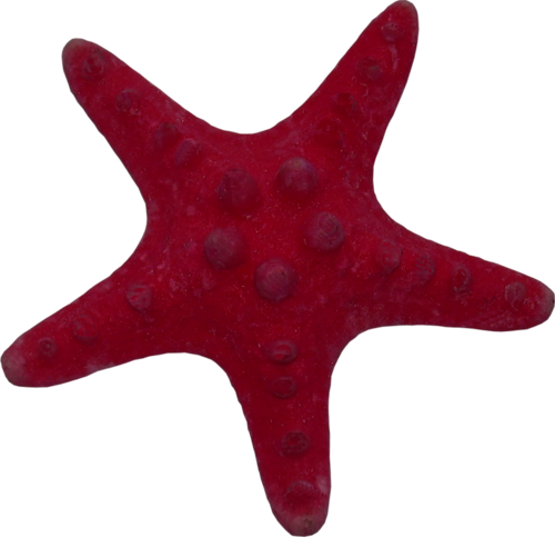 csillag_62.png
