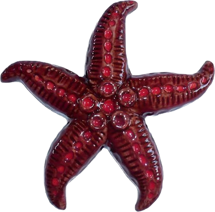 csillag_64.png