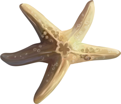 csillag_98.png