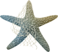 csillag_104