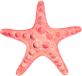 csillag_113