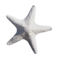 csillag_114