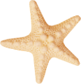 csillag_115