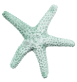 csillag_127