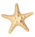 csillag_128