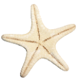 csillag_129