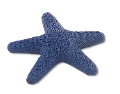 csillag_138