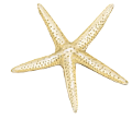 csillag_144