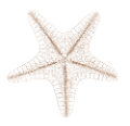 csillag_145