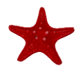 csillag_157