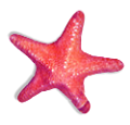 csillag_160