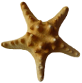 csillag_165