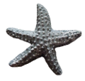 csillag_166