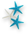 csillag_170
