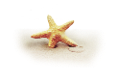 csillag_177
