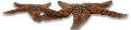 csillag_183