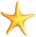csillag_2
