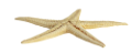 csillag_23