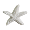 csillag_26