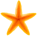 csillag_3
