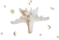 csillag_34