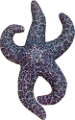 csillag_36