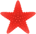 csillag_4