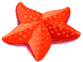 csillag_5