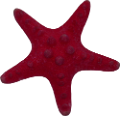 csillag_62