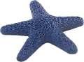 csillag_63