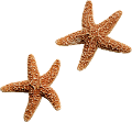csillag_67