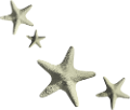 csillag_7