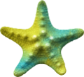 csillag_82