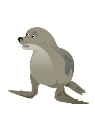 foka_1.png