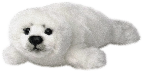foka_26.png