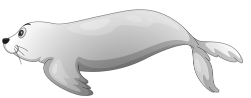 foka_43.png