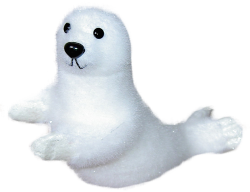 foka_46.png
