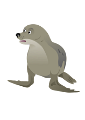 foka_1