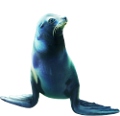 foka_20