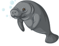 foka_44