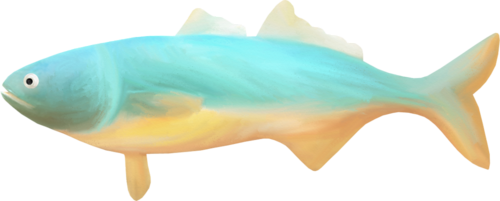 folyami_halak_153.png