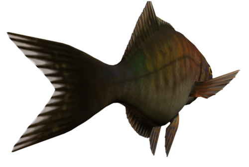 folyami_halak_379.png