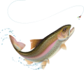 folyami_halak_342