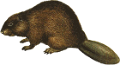 hod_1