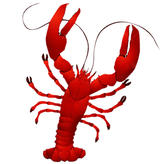 homar_1.png