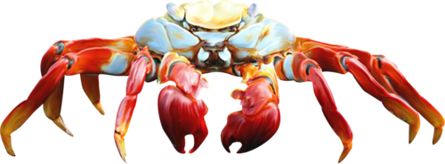 homar_17.png