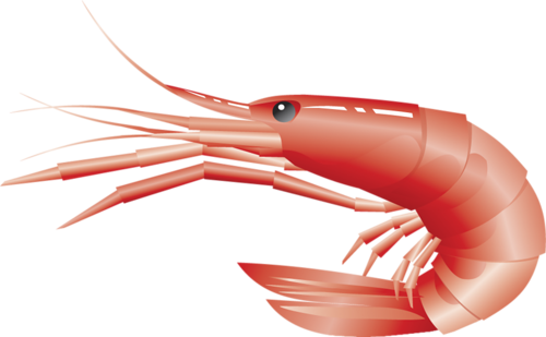 homar_29.png