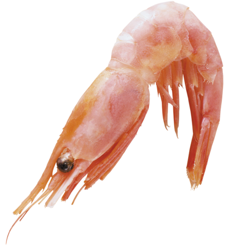 homar_30.png